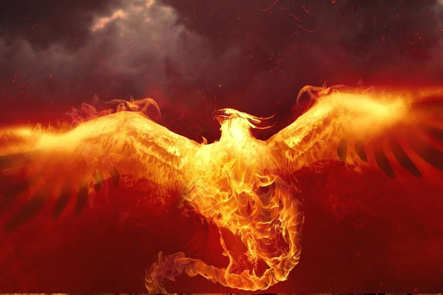Rise of Phoenix